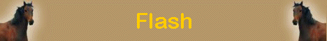 Flash