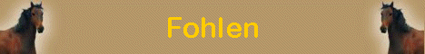 Fohlen