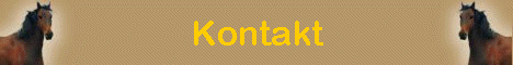 Kontakt