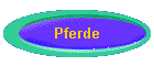 Pferde