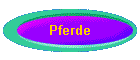 Pferde
