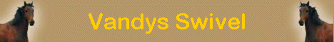 Vandys Swivel